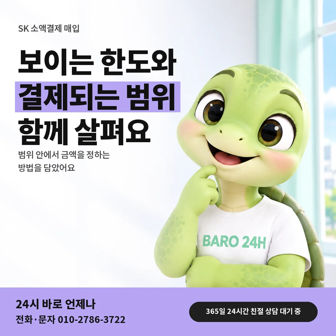 BARO 24H 티셔츠를 입은 3D 거북이 캐릭터 옆에 「SK 결제되는 금액 범위」 제목을 얹은 안내 카드